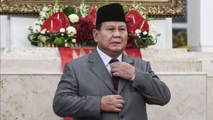 This Is The Great Hope Of Business Actors For The Figure Of The Minister Of Economy In The Prabowo-Gibran Cabinet