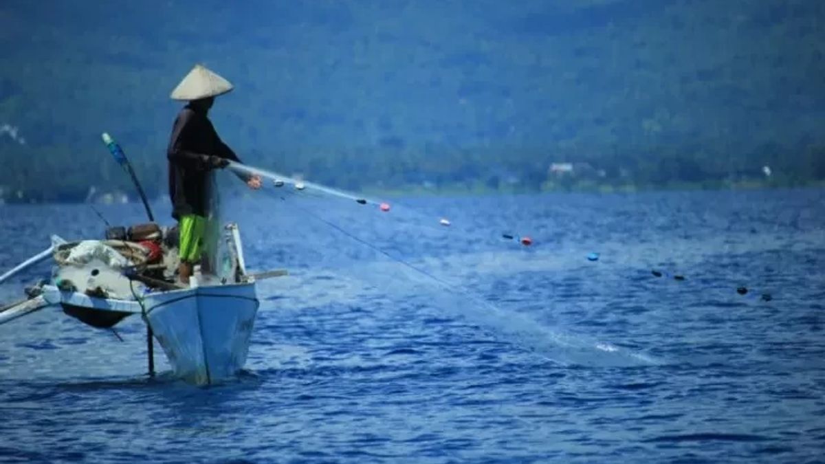 西苏门答腊帕里亚曼渔民在被天气滞留2周后终于出海，现在他们每天可以捕获320公斤金枪鱼