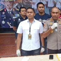 Terungkapnya Penganiyaan Anak oleh Asisten Rumah Tangga yang Viral di Media Sosial