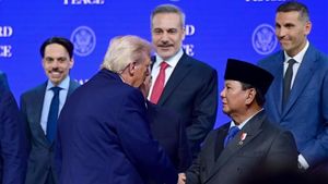 Menlu Tegaskan Board of Peace tak Gantikan Peran PBB