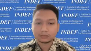 Ekonom Indef Ungkap 3 Dampak Negatif dari Pelarangan Social Commerce, Simak Penjelasannya