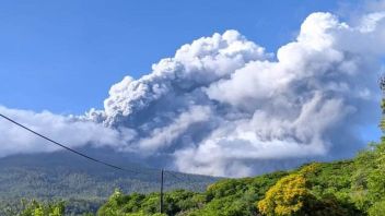 PVMBG Sebut Kegempaan Gunung Lewotobi Laki-laki Naik Sebelum Erupsi
