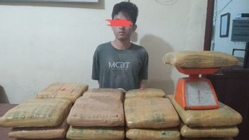 快递员35公斤大麻在北苏门答腊的Padangsidimpuan被捕,供应商逃脱