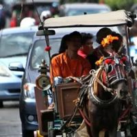 Pemkot Yogyakarta Tertibkan Parkir Andong sebelum Kaji Pampers Kuda