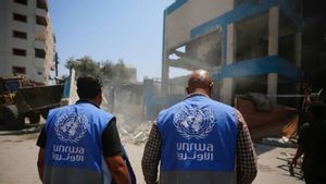 There Is No Safe Place In Gaza, UNRWA: Hundreds Of Refugees Died Under UN Protection