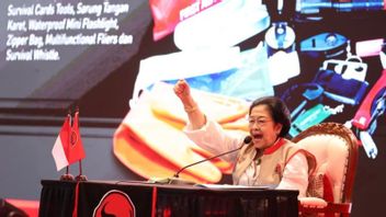 Megawati urges the government to map flood-prone areas in Sumatra so that it does not happen again.