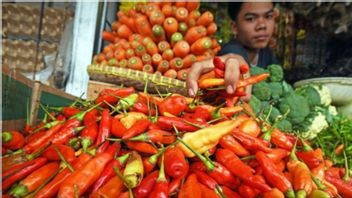 食品商品价格上涨，KPPU加强监管