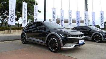 The National Car Project Attracts Hyundai's Interest, A Strong Signal From Global Investors