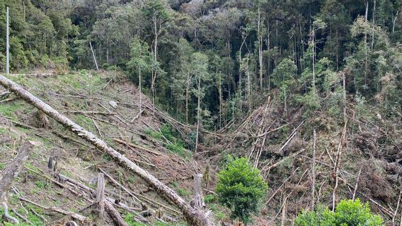 Le Gouvernement Provincial De Sulawesi Du Sud Exige Que Chaque élève Du Secondaire Plante 5 Arbres Pour Préserver L’environnement