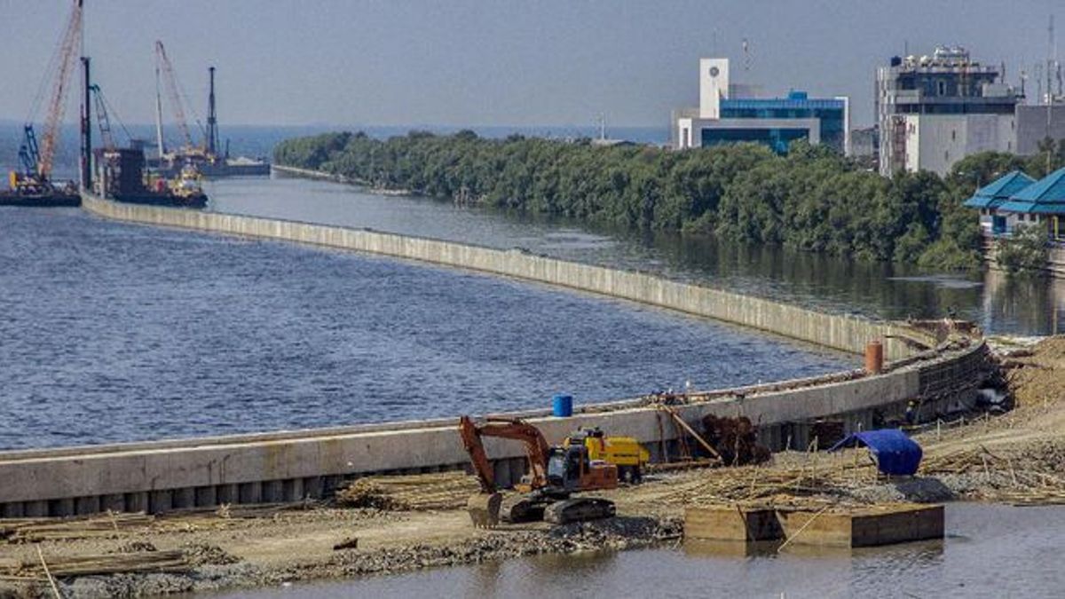 ジョコウィによって分類され、これがジャカルタの巨大海堤防開発の進捗状況です