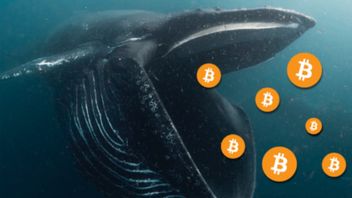 <i>Whale</i> Bitcoin Transfer 48.000 BTC dari Coinbase Pro, Pertanda Apa Ini?