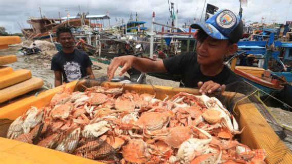 APRI: Innovation Farming for Sustainable Crab Hatcheries