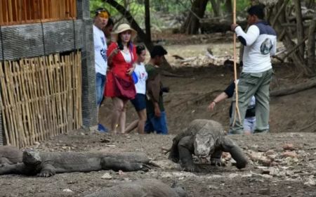 Respons Pemprov NTT Setelah Kasus Wisatawan Tak Tertolong di Pulau Komodo dan Padar