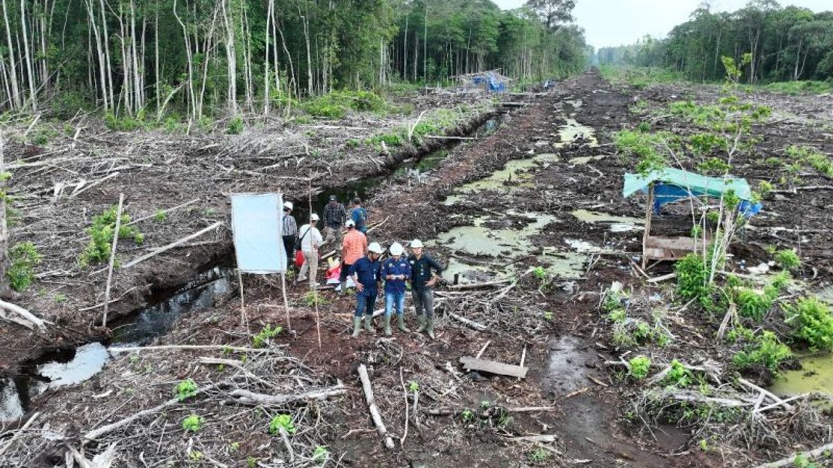 Pemerintah Segel 80 Hektare Lahan Bekas Terbakar di Konsesi PT PML, Sumsel