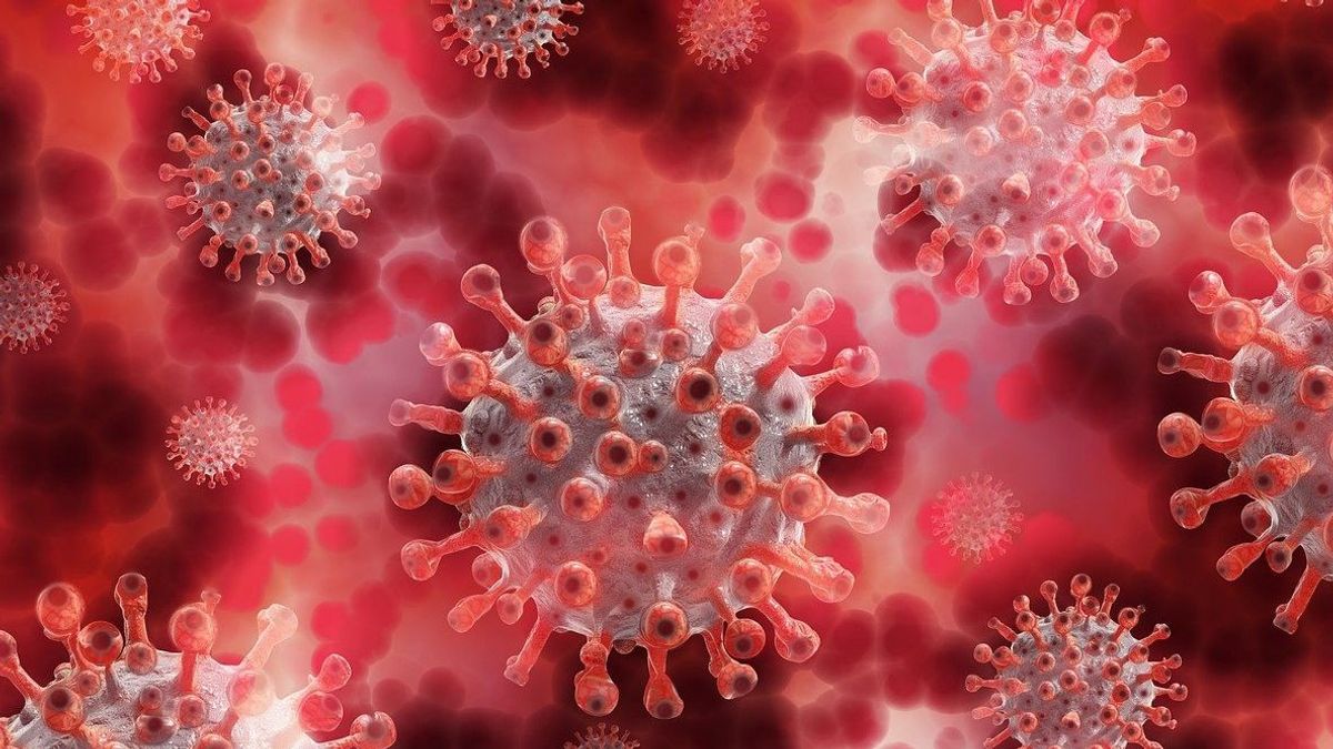 Menkes Budi Gunadi: Varian Baru Virus Corona Banyak Ditemukan di Sumsel dan Kalimantan 