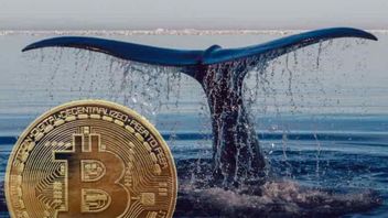 Crypto Whales Rise From Long Sleep, Move Thousands Of Bitcoins Worth IDR 31 Trillion