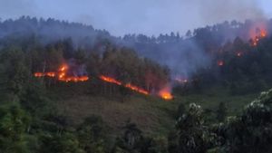 Tim Gabungan Padamkan Kebakaran Hutan Siarubung Samosir