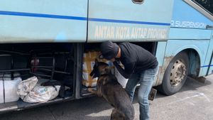 Enam Anjing Gagalkan Penyelundupan Narkoba di Pelabuhan Bakauheni