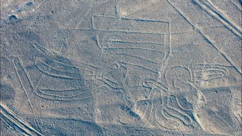 Peru Authority To Restore Nazca Lines Protected Area