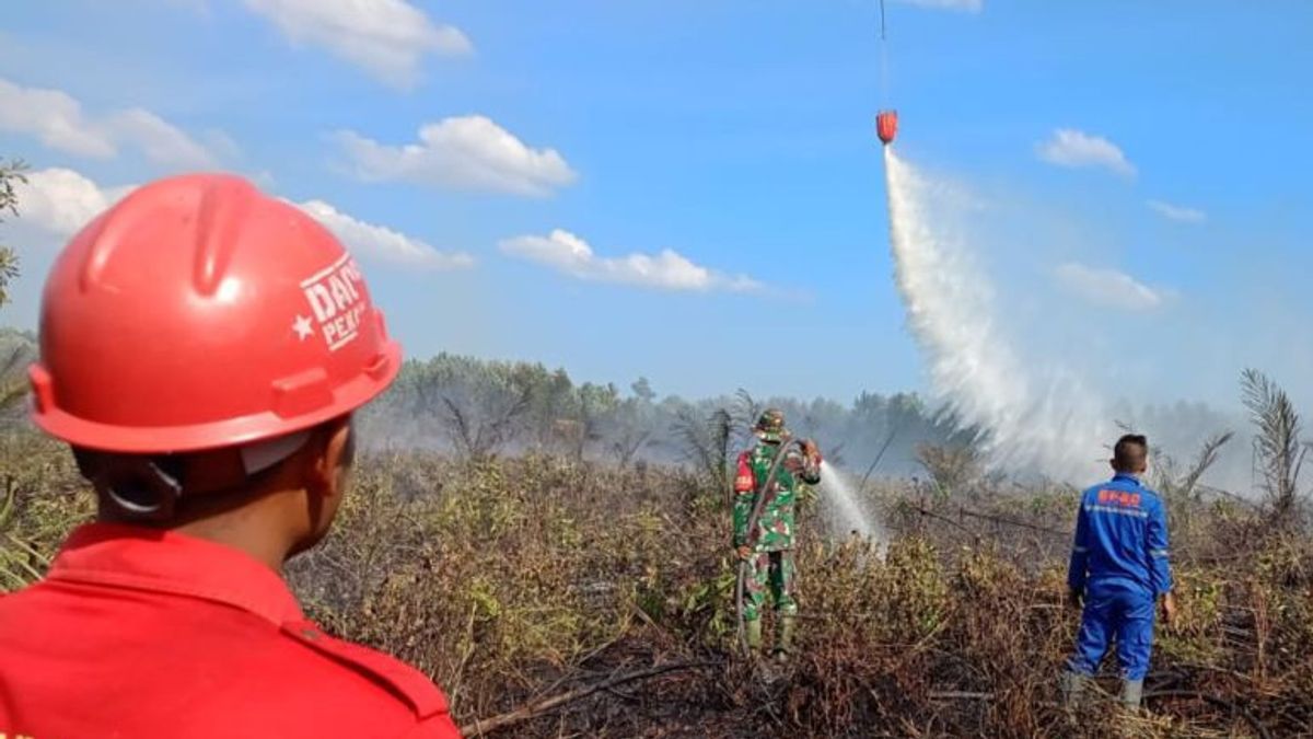 Joint Team Puts Out Forest And Land Fires In Inhu