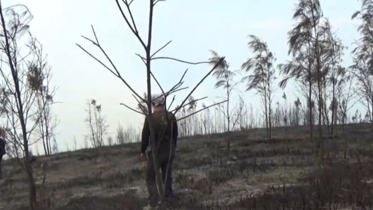 Mahfudは森林と土地の火災執行が強化され、35の焼失地域が封鎖されていることを確認します
