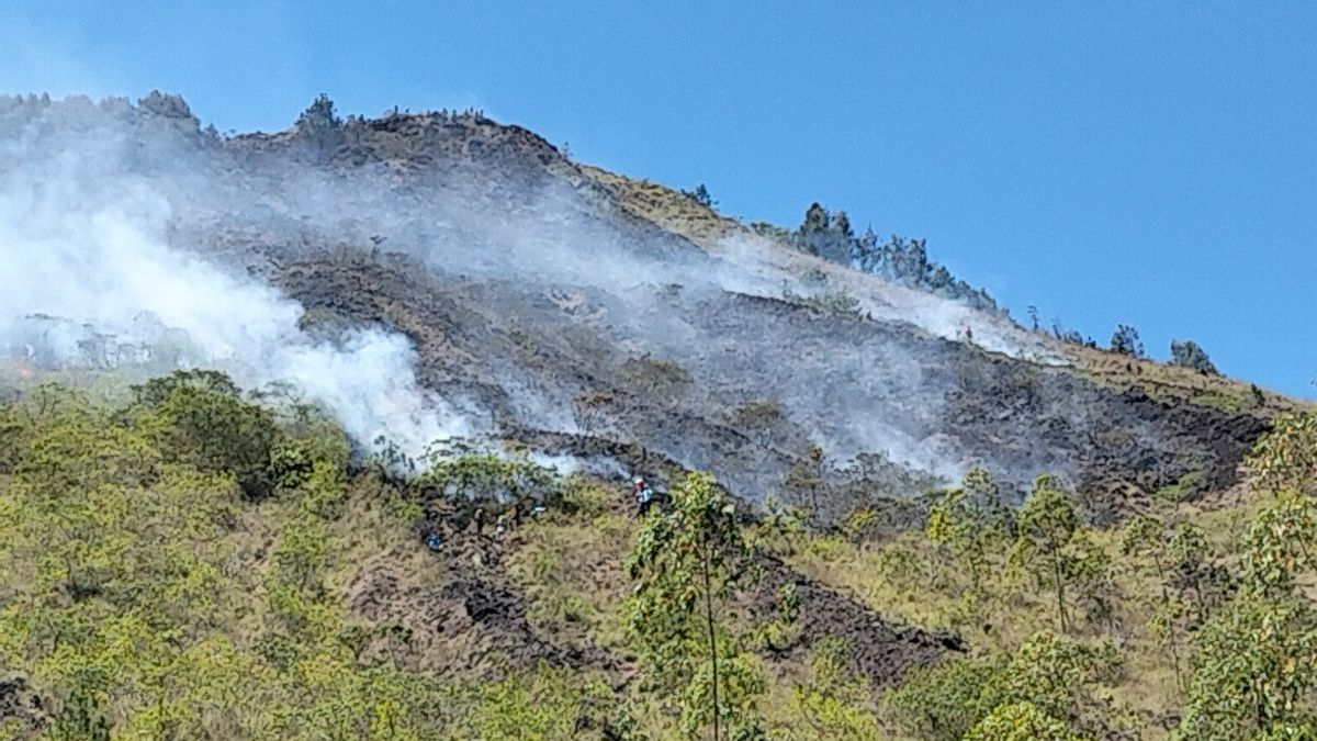 バトゥール・キンタマーニ山の斜面が火災を起こしたが、これはタバコのプントゥンが原因と疑われている