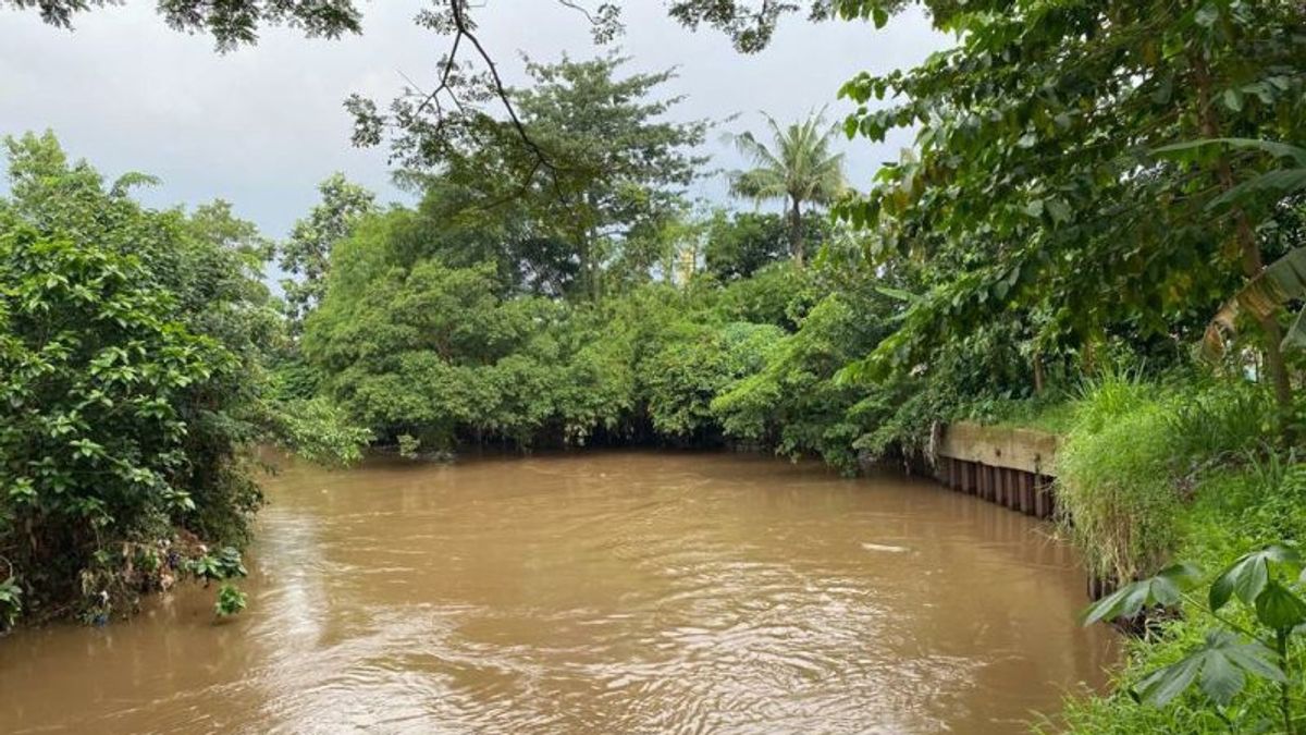 Pemprov DKI Prioritas Tangani 6 Lokasi Rawan Banjir di Ciliwung
