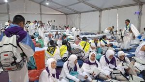 Government Prepares Health Posts in Arafah and Mina during the Peak of Hajj
