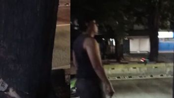 Oknum ASN Dinas Bina Marga Terlibat Penebangan Ilegal Pohon di Kebayoran Lama