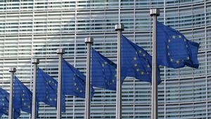Uni Eropa Meminta Informasi dari 17 Perusahaan Teknologi Besar terkait Hukum Digital