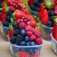 10 Manfaat Buah Beri untuk Kesehatan, Sudah Tahu Jenisnya Apa Saja?
