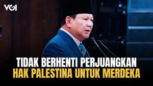 President Prabowo Reaffirms, Indonesia Will Not Stop Fighting For Palestinian Rights For Independence