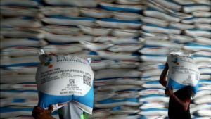 南苏门答腊补贴肥料分配增加一倍,达到95.5亿吨