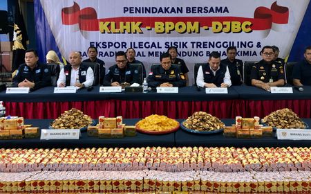 Penyelundupan Ekspor Sisik Trenggiling Digagalkan, Bea Cukai: Bisa Diolah Sebagai Bahan Baku Narkotika