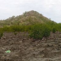 Mafia Tanah di Lombok Didakwa Cuci Uang Investor Wisata Rp15,36 Miliar, Duitnya Beli Tanah hingga Kegiatan Partai