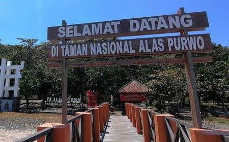 Penetapan Taman Nasional Alas Purwo, Banyuwangi dalam Sejarah Hari Ini, 26 Februari 1992