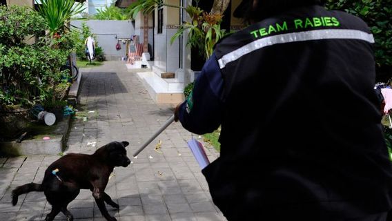 PDHI Bali Luruskan Eutanasia Bukan Asal Eliminasi Anjing Liar