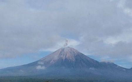 PVBMG Evaluasi Gunung Semeru yang Berstatus Waspada