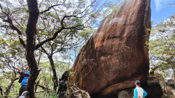12 Ekosistem Hutan Teridentifikasi di TN Gunung Palung Kalbar