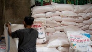 Penyebab Kelangkaan Pupuk Bersubsidi di Bangkalan Diselidiki