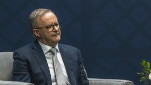 PM Albanese Tegaskan Australia Terus Mendukung Solusi Dua Negara