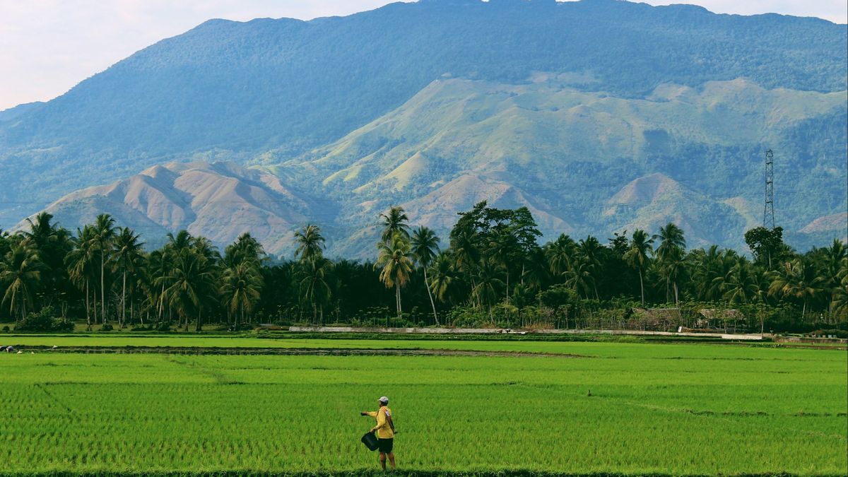 下院委員会IV:食料自給の成功指標は農家の福祉である