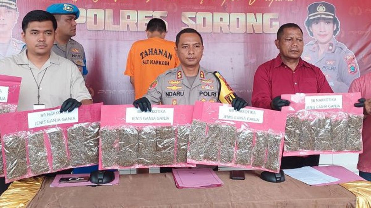 Marijuana Dealer 1.2 Kilogram Arrested At Sorong Port, Papua