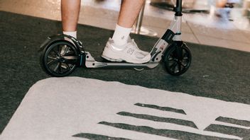 Menyatunya Musik, Komunitas, dan Gaya Hidup, dalam Perayaan Warna Abu-abu Ikonik Sneakers
