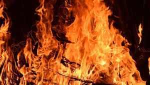 Titik Awal Api Kebakaran di Kantor BPOM Sudah Diketahui, Polri Sampaikan Laporan Dugaan Sementara