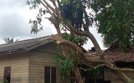 Cuaca Ekstrem, Puting Beliung Merusak 17 Rumah Warga di Desa Sepempang Natuna