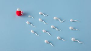 7 Cara Alami Meningkatkan Jumlah Sperma dan Menjaga Kesuburan Pria