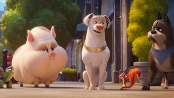 5 Main Characters Of DC League Of Super-Pets Movie Revealed, Who Are They?