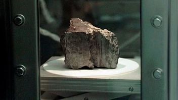 الصخرة التي وجدتها وكالة ناسا في القارة القطبية الجنوبية وتسبب ضجة في عام 1996 وقد تم بحثها بنجاح ، وهذه هي النتيجة!