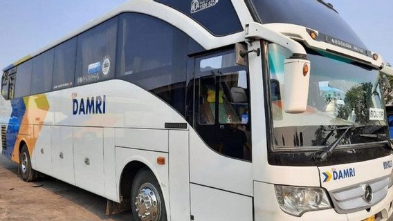 DAMRI Diduga Abaikan Hak Buruh, THR Hanya Dibayarkan Rp700 Ribu